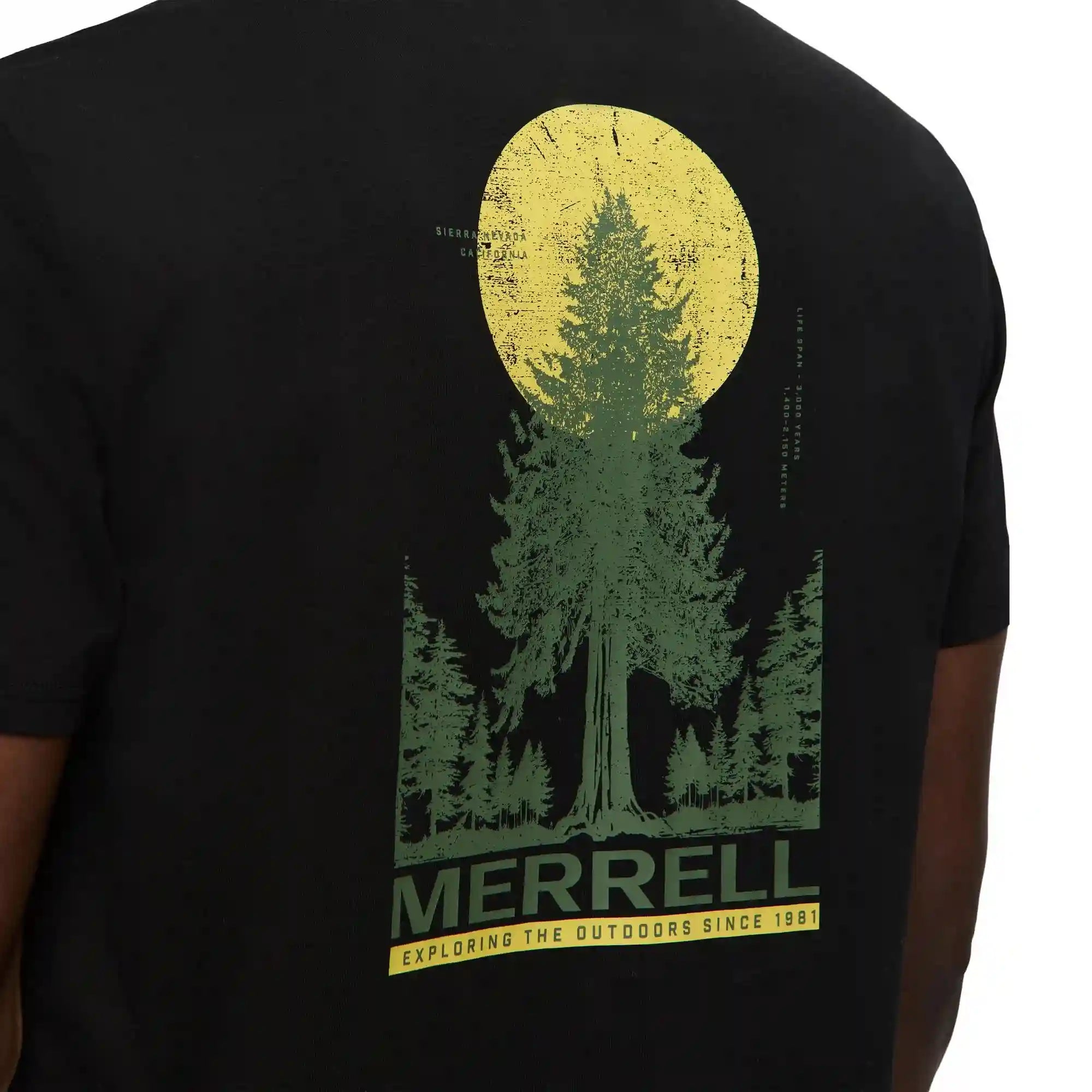 merrellearth.it.com