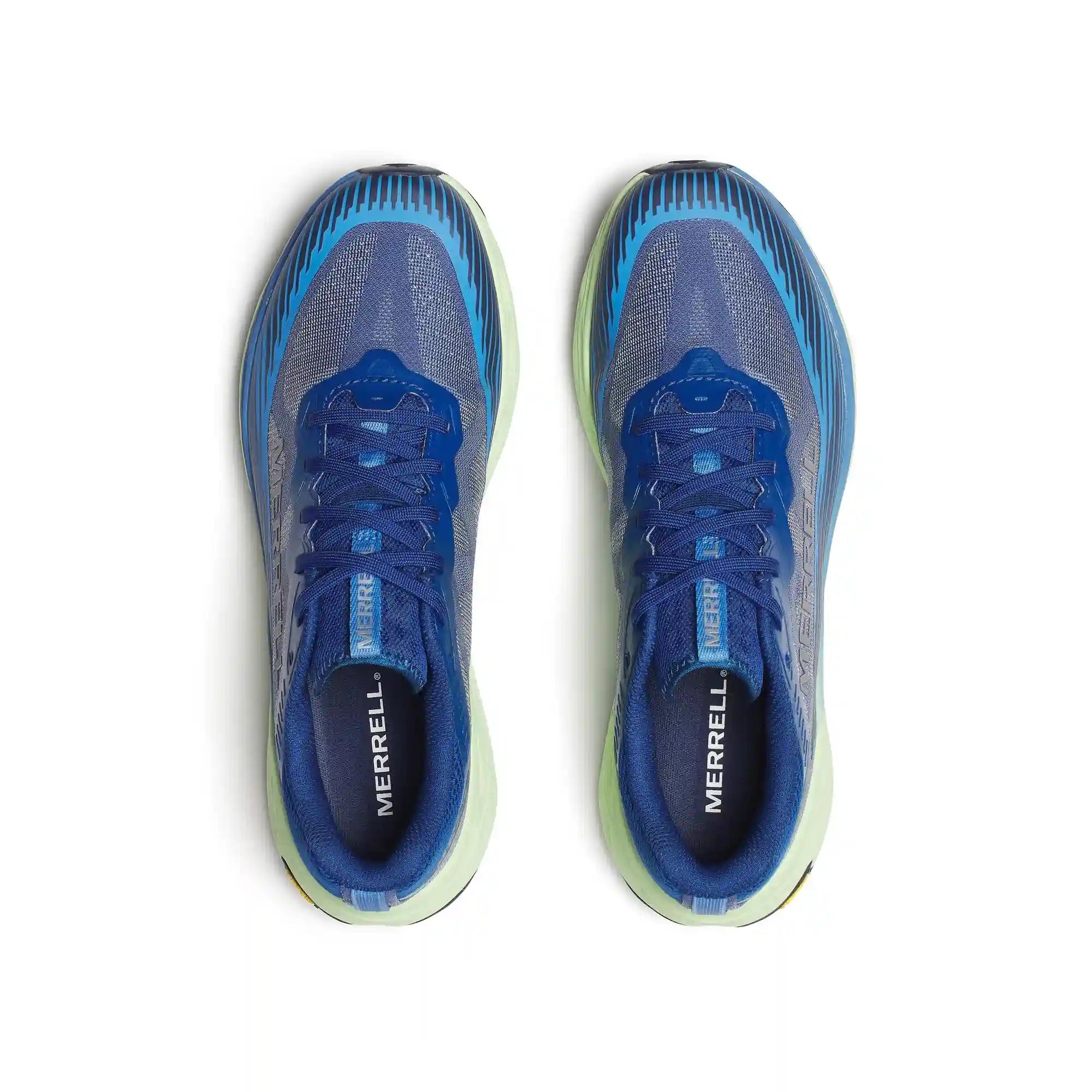 merrellearth.it.com