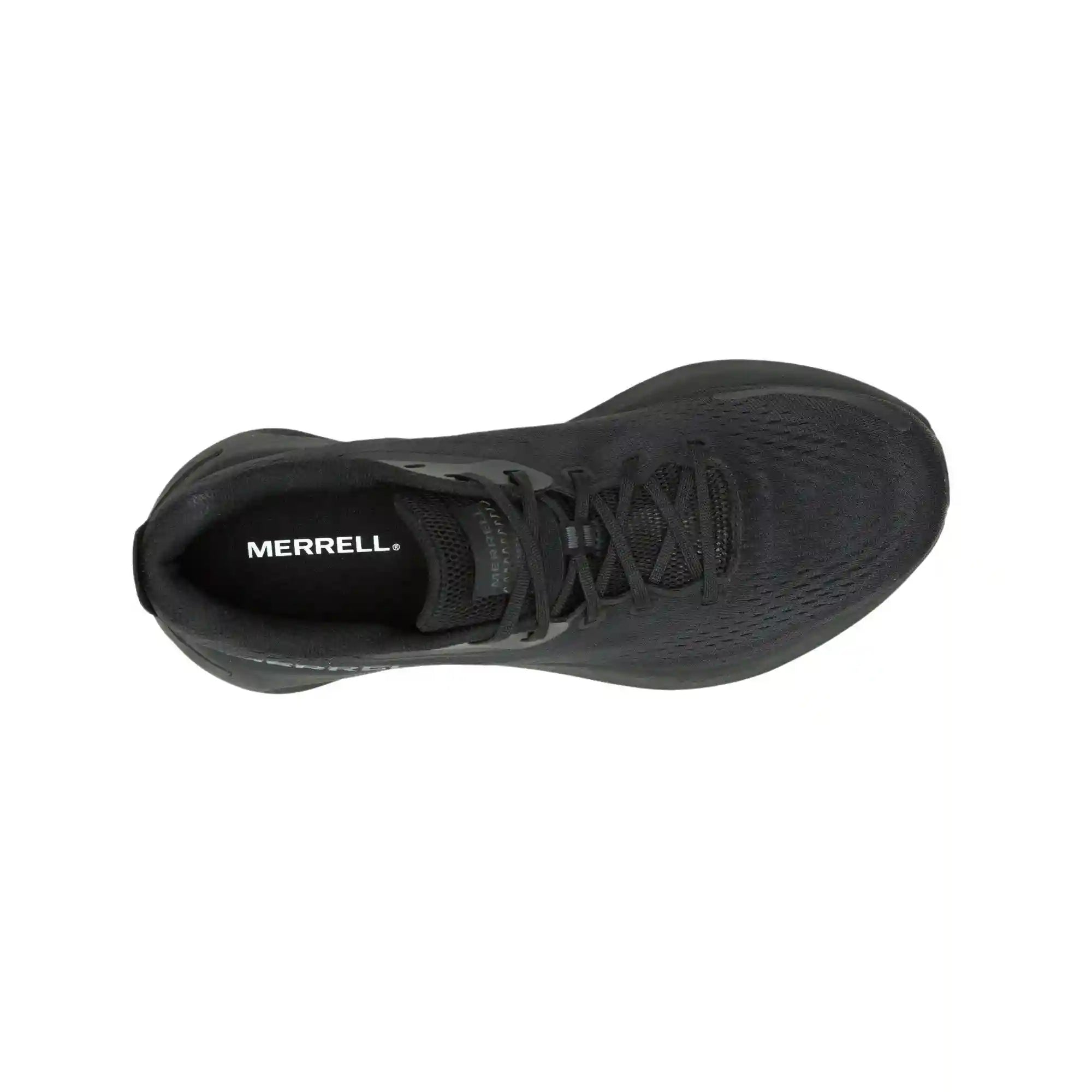 merrellearth.it.com