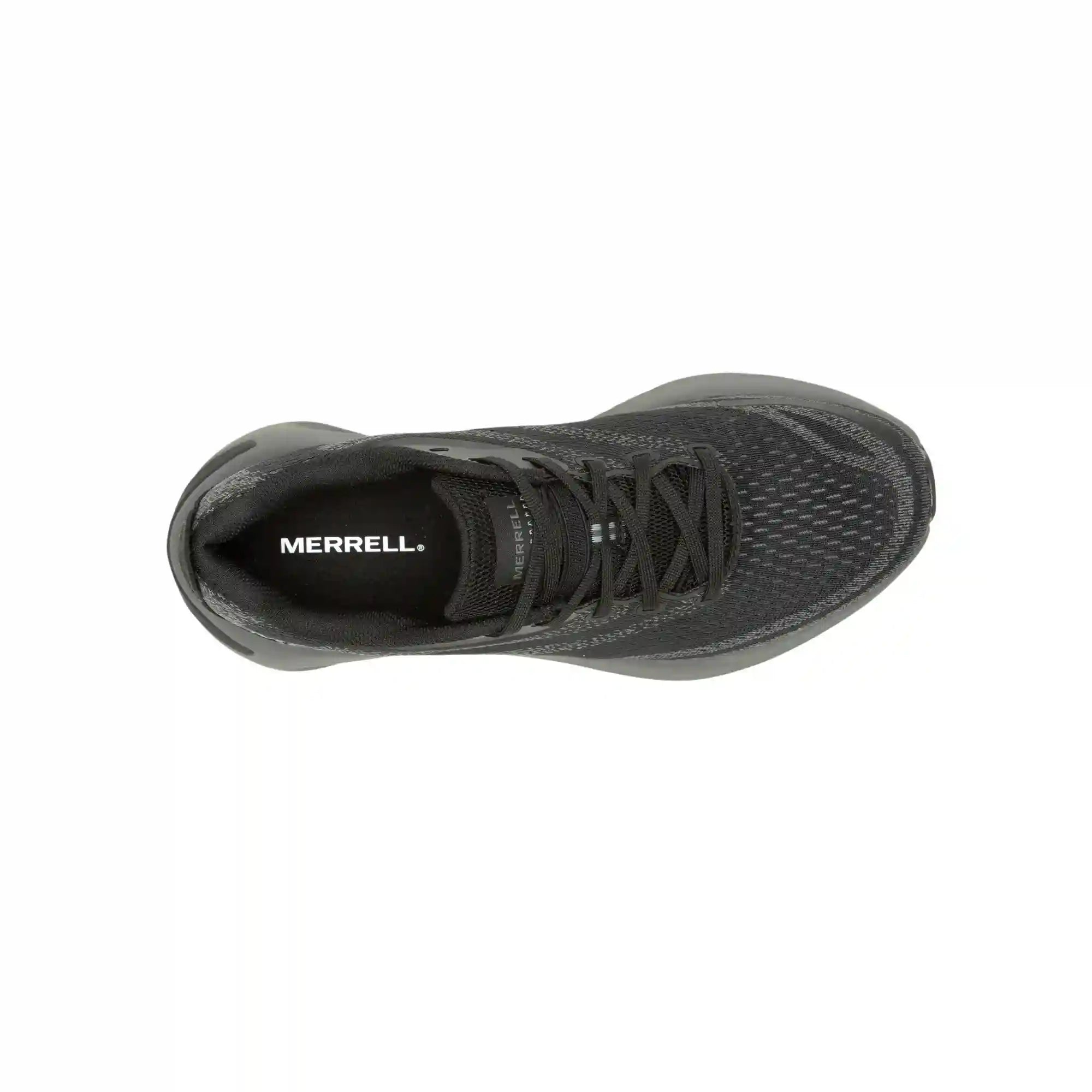 merrellearth.it.com