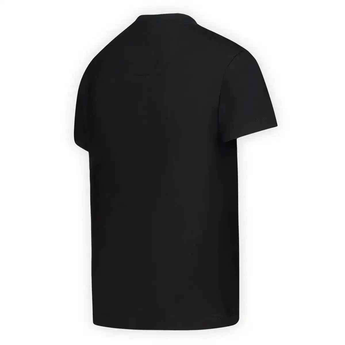 merrellearth.it.com