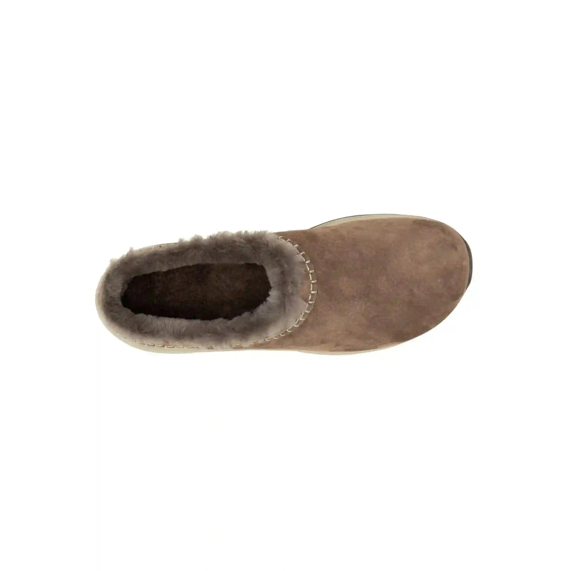 merrellearth.it.com
