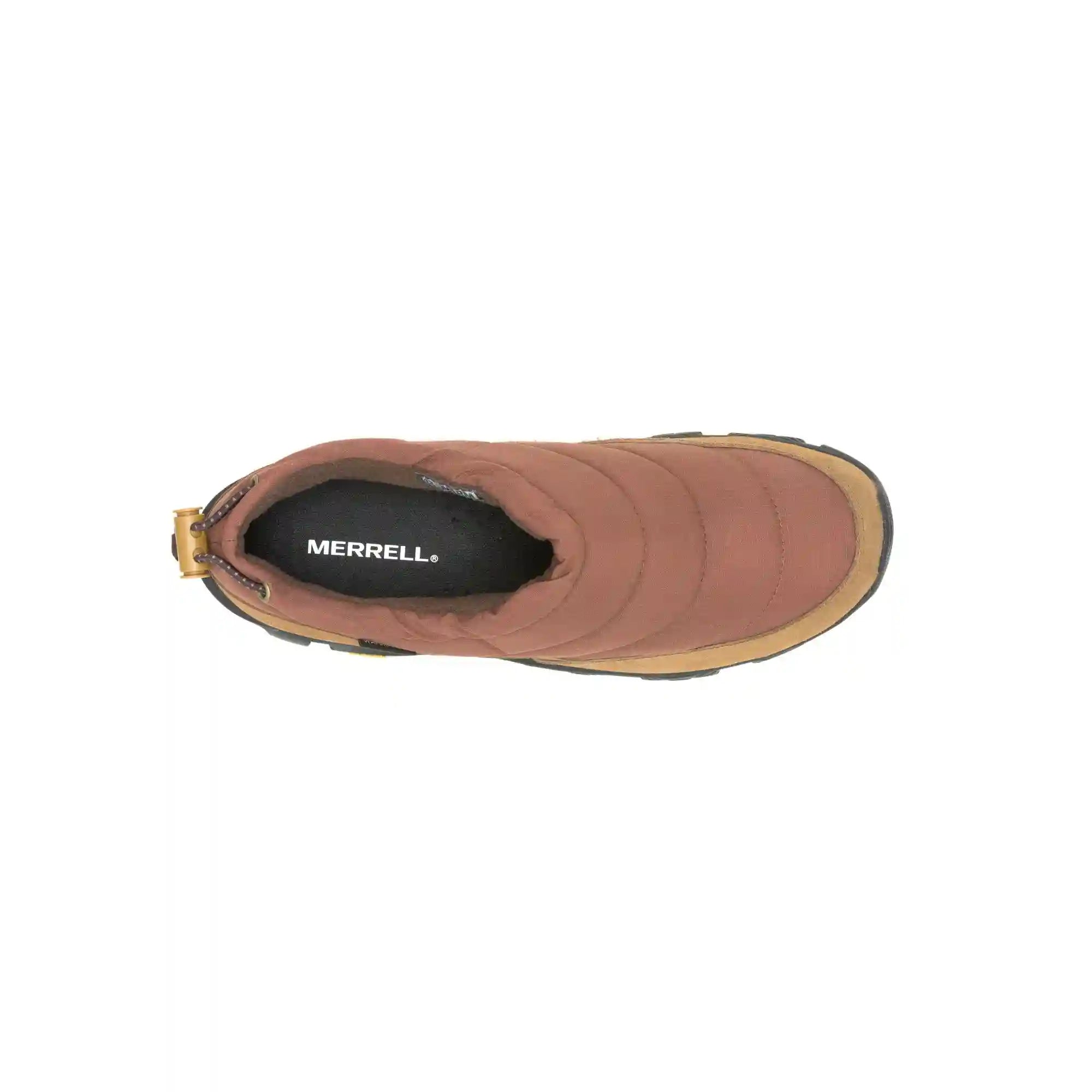 merrellearth.it.com
